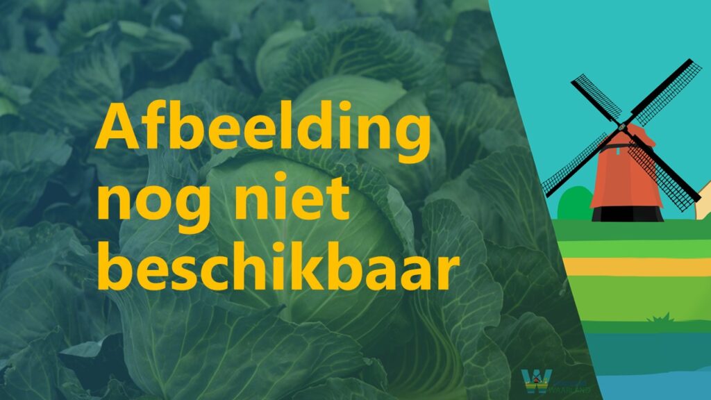 dit bedrijf in waarland heeft nog geen foto
